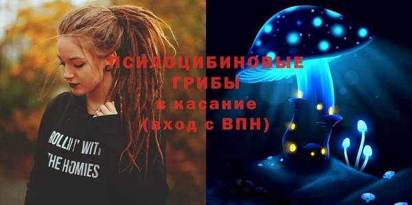 хмурый Алексеевка