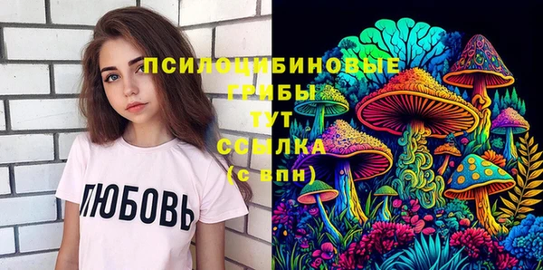 хмурый Алексеевка