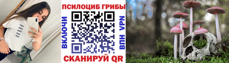 Псилоцибиновые грибы мицелий  Вологда 